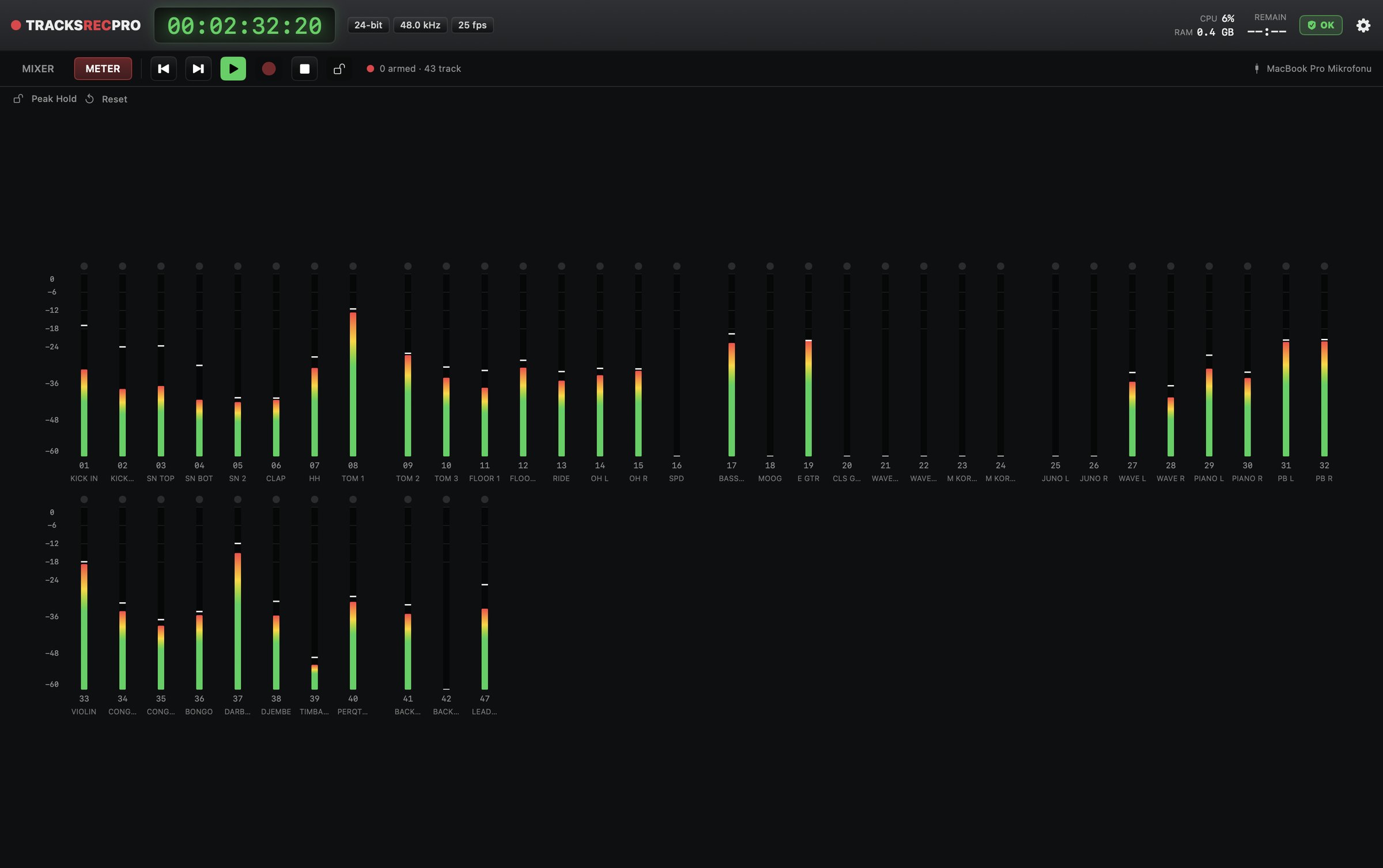 Meters with Peak Hold engaged, peak markers frozen