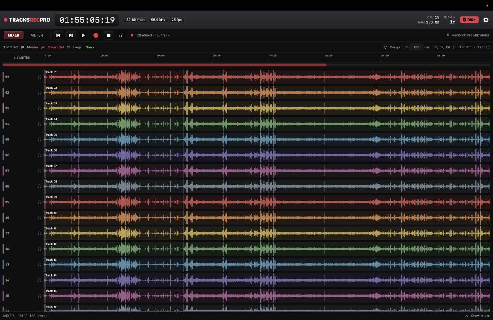 A full concert on one screen: 128 tracks of waveform with song markers